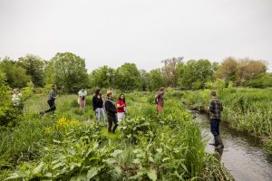 A group of people tending to dense greenery along a creek under a cloudy sky