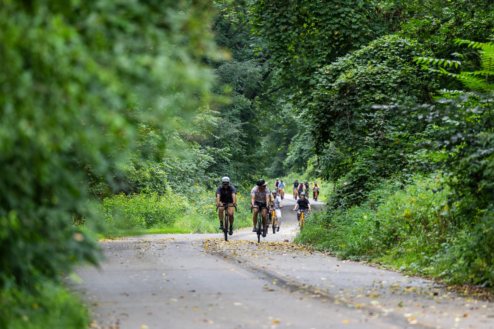 Bikers riding down tree-lined trail.