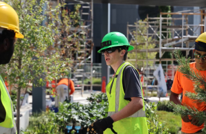 Three landscapers working