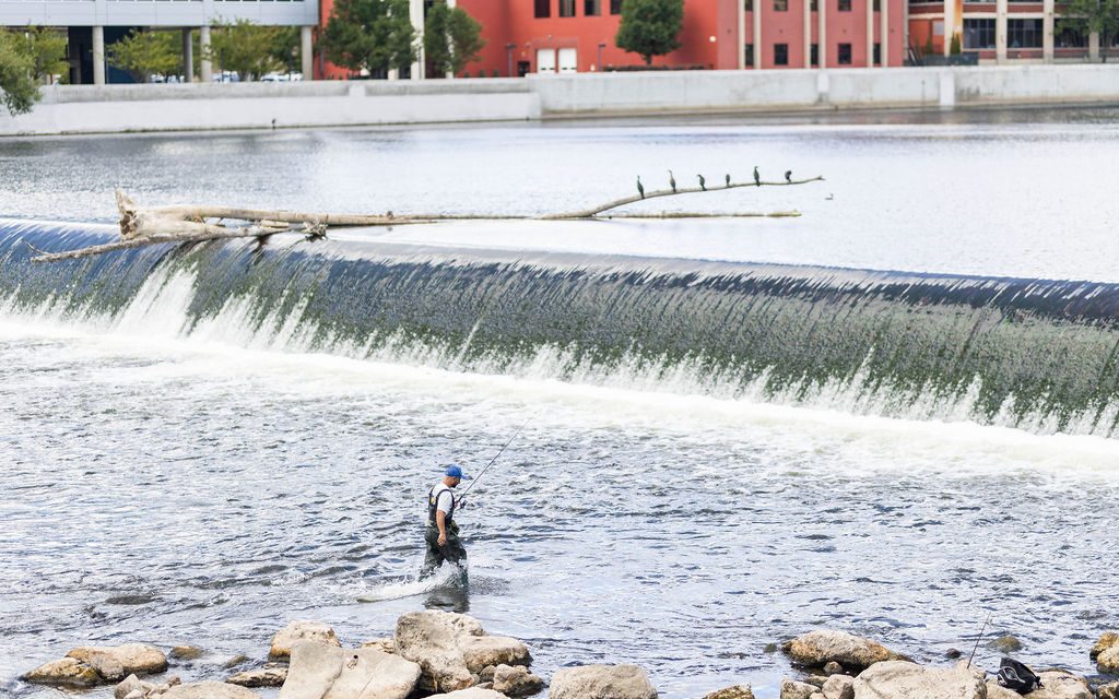 A fisher in waders standing in a river in front of the Sixth Street Dam in Grand Rapids, MI.